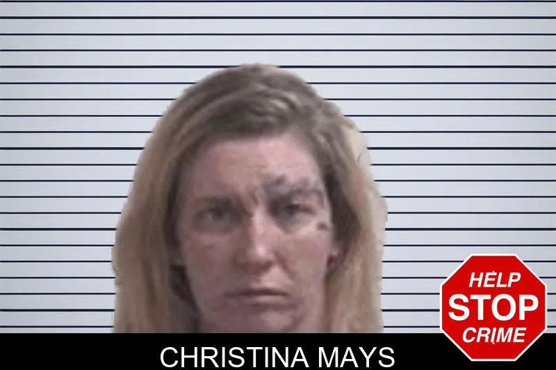 Christina Mays mugshot – Henry County , Georgia Christina Mays mugshot