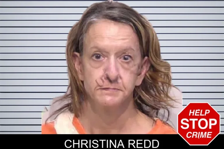 Christina Redd mugshot – Bartow County , Georgia Christina Redd