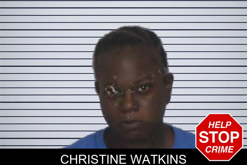 Christine Watkins mugshot