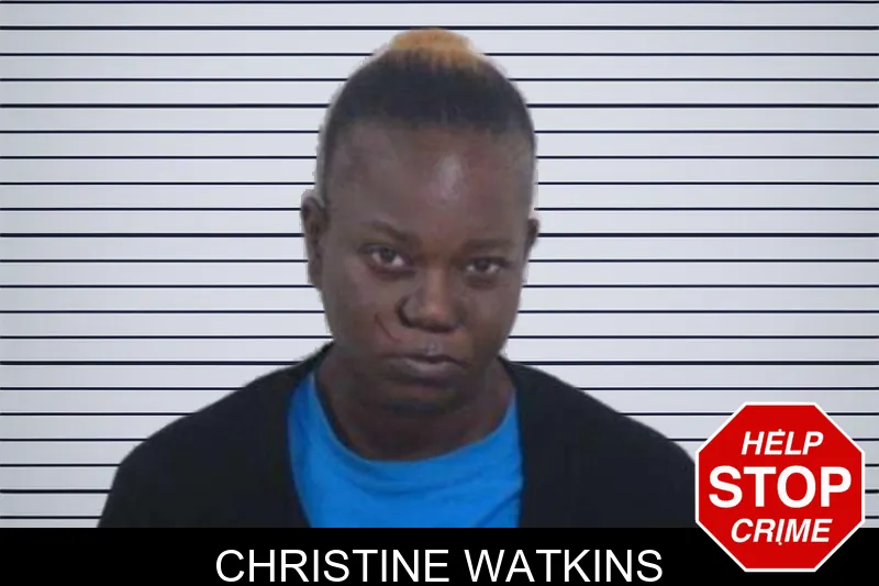 Christine Watkins mugshot