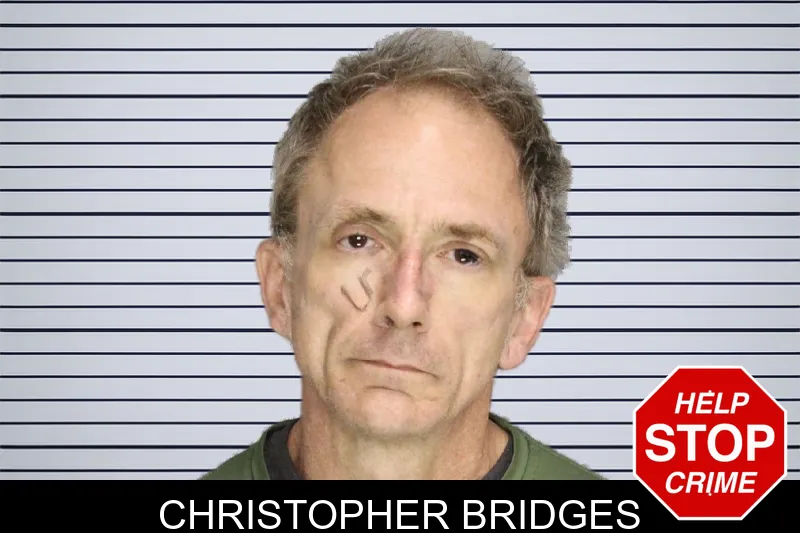 Christopher Bridges mugshot