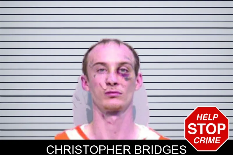 Christopher Bridges mugshot