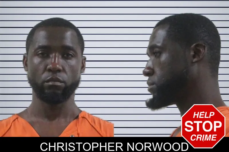 Christopher Norwood mugshot – Houston County , Georgia Christopher Norwood mugshot