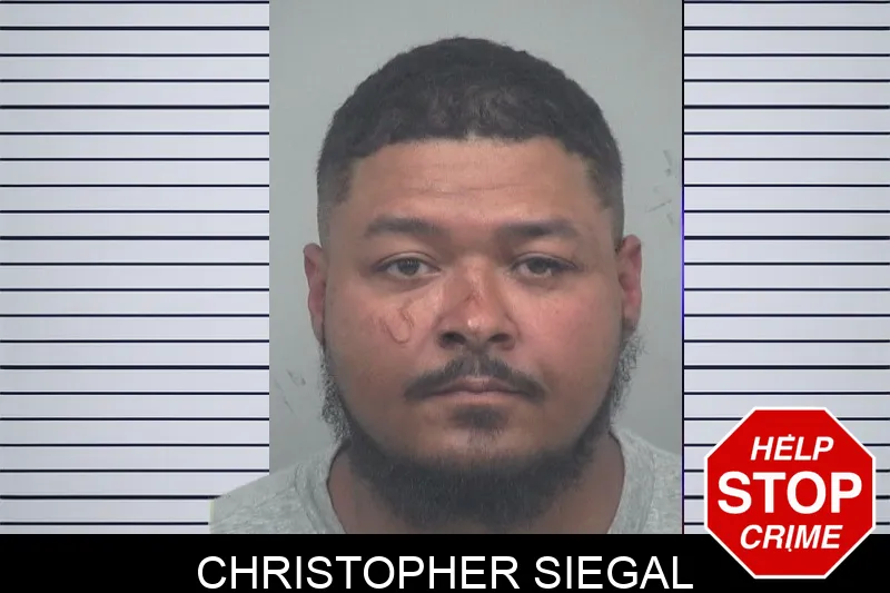 Christopher Siegal mugshot – Gwinnett County , Georgia Christopher Siegal mugshot