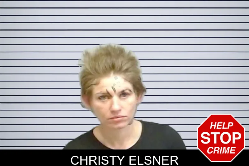 Christy Elsner mugshot