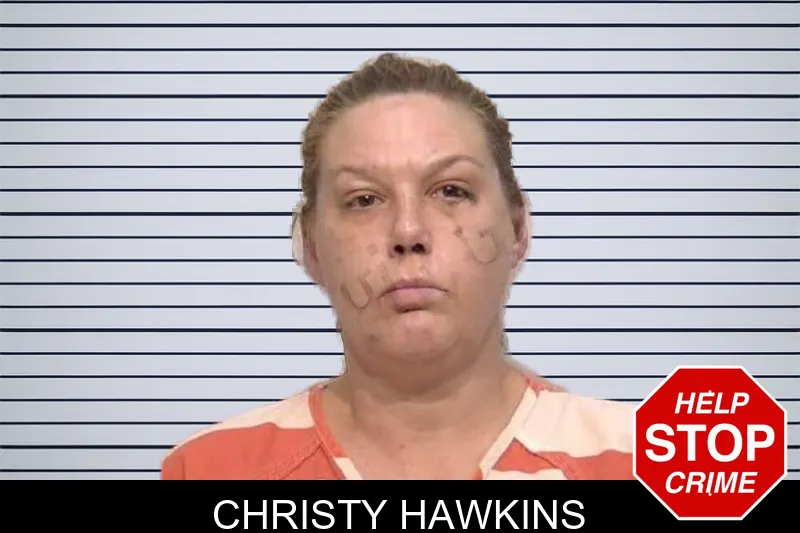 Christy Hawkins mugshot – Bartow County , Georgia Christy Hawkins mugshot