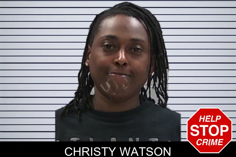 Christy Watson mugshot – Baldwin County , Georgia Christy Watson mugshot