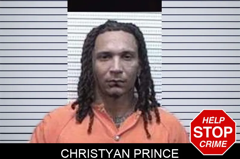 Christyan Prince mugshot – Tattnall County , Georgia Christyan Prince mugshot