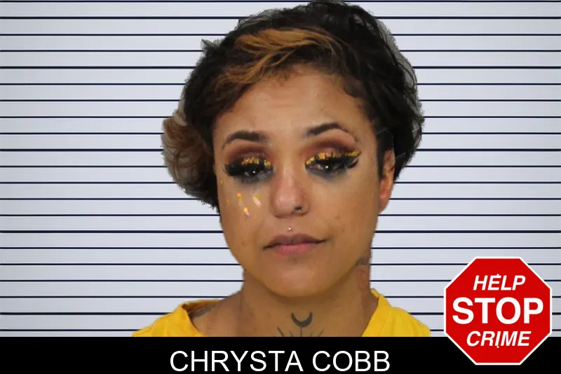 Chrysta Cobb mugshot – Cobb County , Georgia Chrysta Cobb mugshot