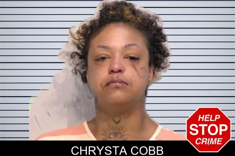 Chrysta Cobb mugshot – Bartow County , Georgia Chrysta Cobb