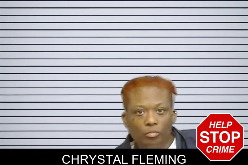 Chrystal Fleming mugshot
