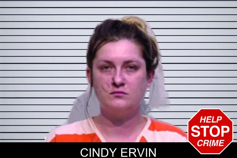 Cindy Ervin mugshot