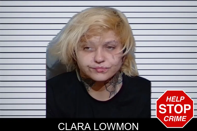 Clara Lowmon mugshot – Glynn County , Georgia Clara Lowmon mugshot