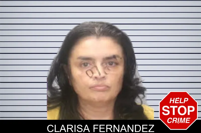 Clarisa Fernandez mugshot