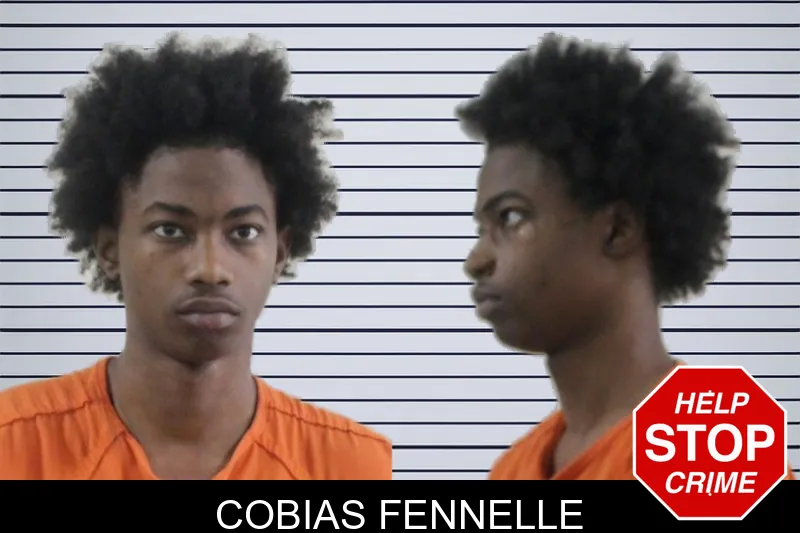 Cobias Fennelle mugshot – Houston County , Georgia Cobias Fennelle mugshot