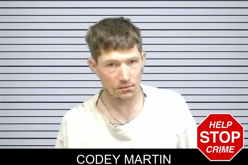 Codey Martin mugshot