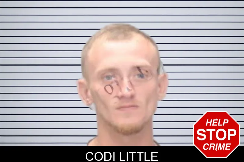 Codi Little mugshot – Muscogee County , Georgia Codi Little mugshot