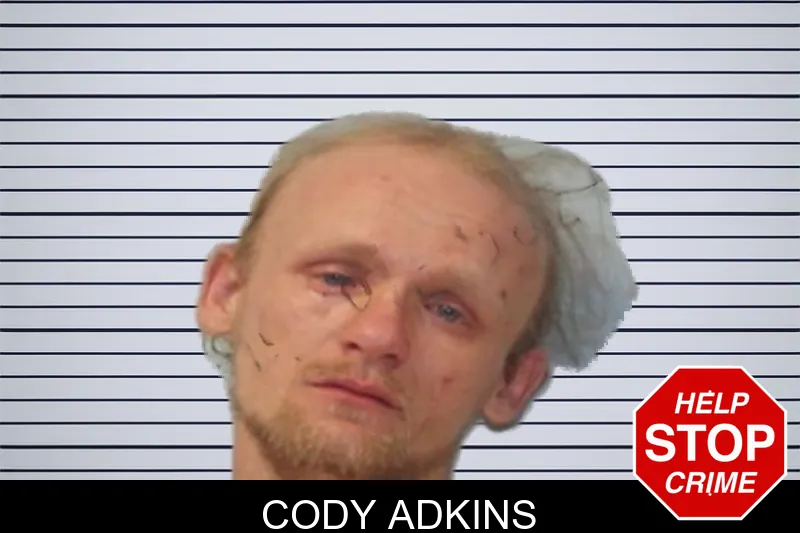 Cody Adkins mugshot