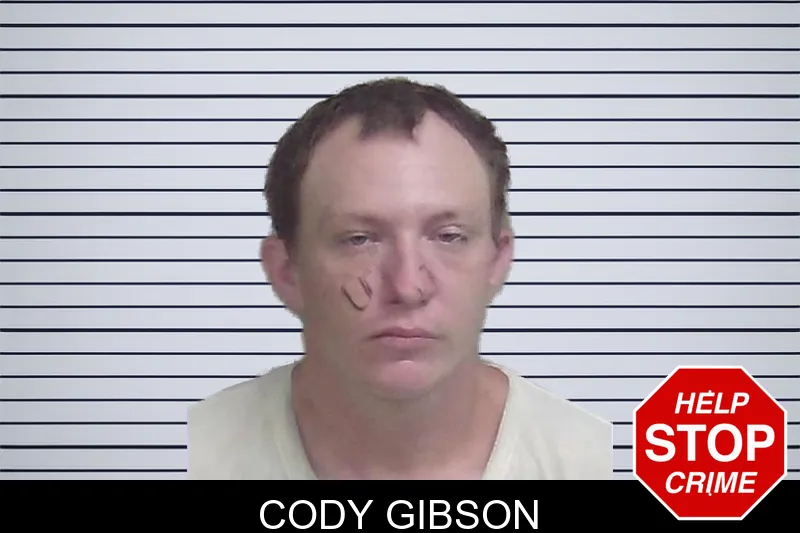 Cody Gibson mugshot – Wayne County , Georgia Cody Gibson mugshot