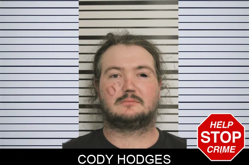 Cody Hodges mugshot – Toombs County , Georgia Cody Hodges mugshot