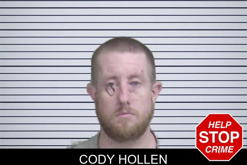 Cody Hollen mugshot – Wayne County , Georgia Cody Hollen mugshot