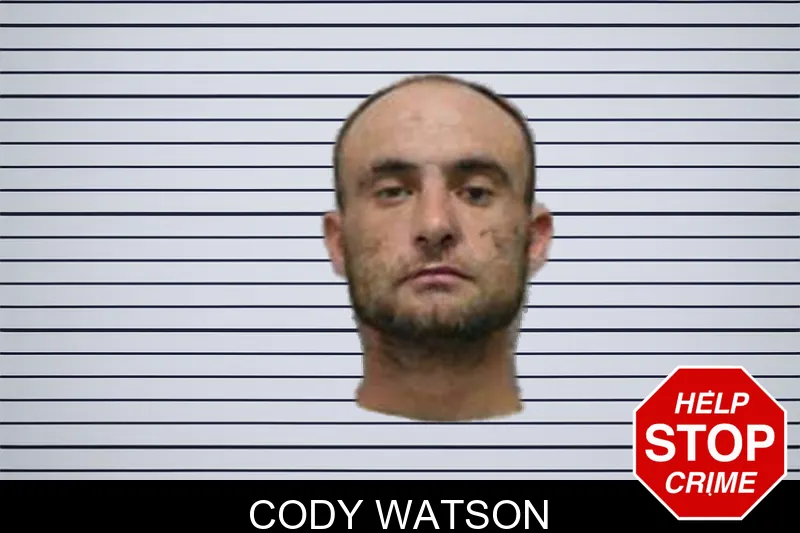Cody Watson mugshot