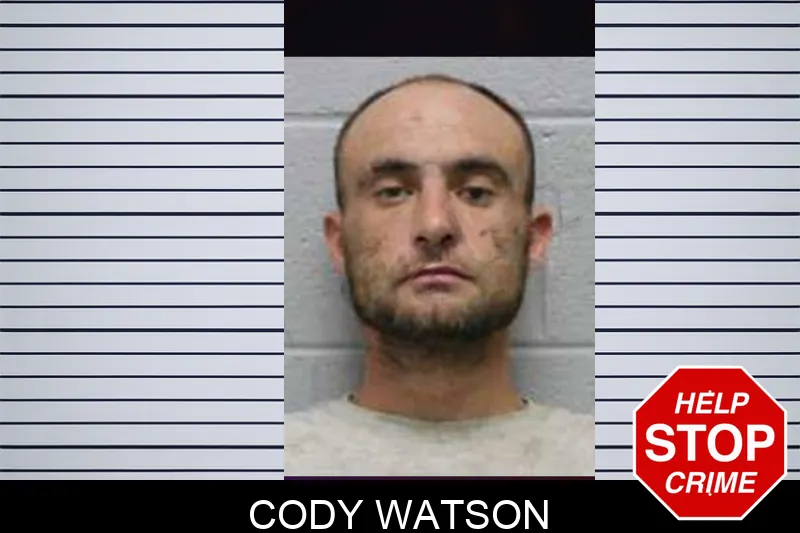 Cody Watson mugshot – Harris County , Georgia Cody Watson mugshot