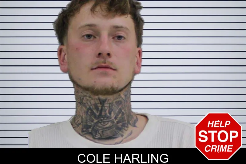 Cole Harling mugshot