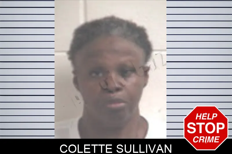 Colette Sullivan mugshot – Henry County , Georgia Colette Sullivan mugshot