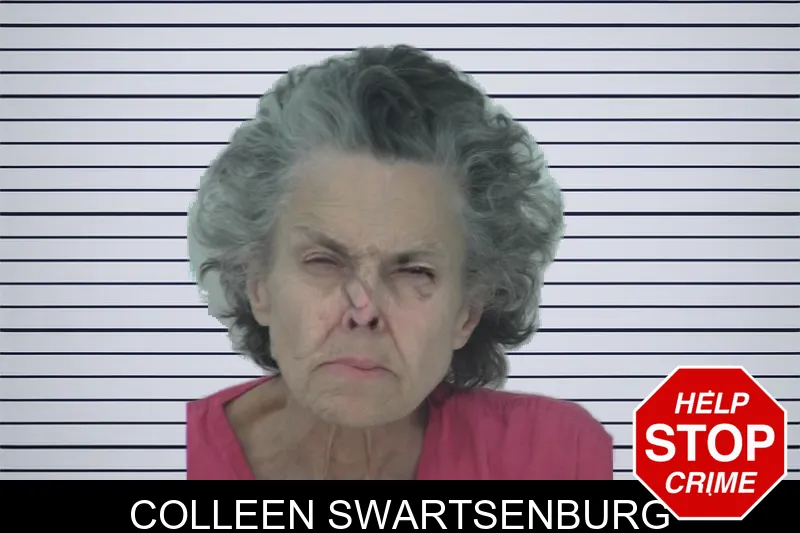 Colleen Swartsenburg mugshot – Fayette County , Georgia Colleen Swartsenburg mugshot