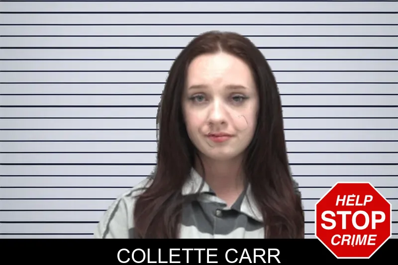 Collette Carr mugshot – Dougherty County , Georgia Collette Carr mugshot