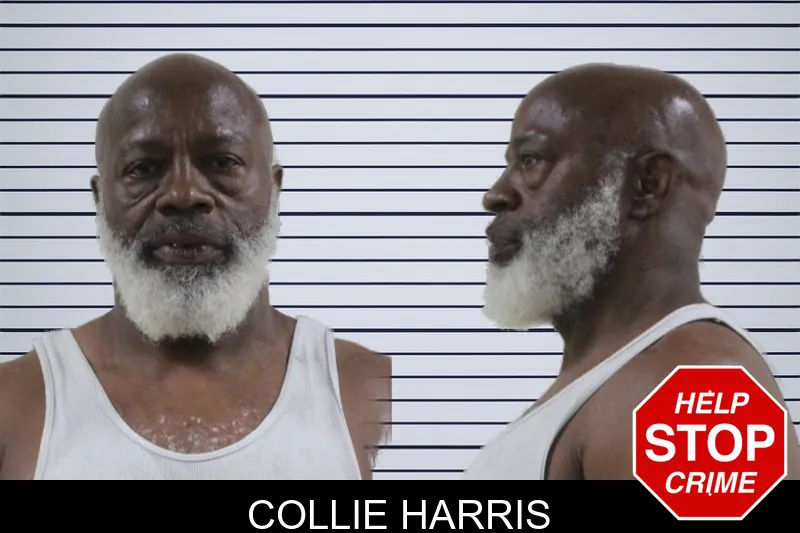 Collie Harris mugshot – Houston County , Georgia Collie Harris mugshot