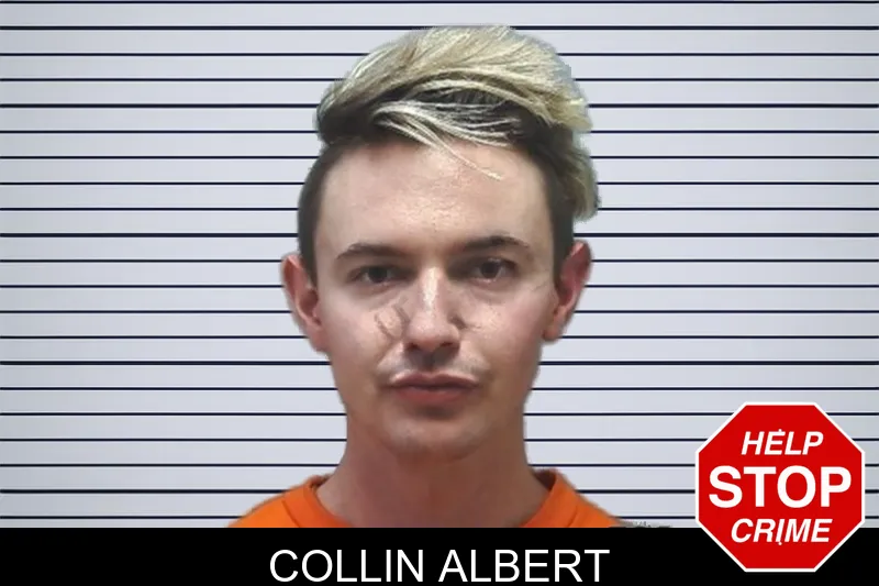 Collin Albert mugshot