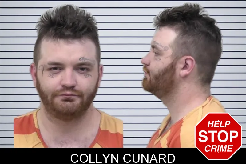 Collyn Cunard mugshot – Paulding County , Georgia Collyn Cunard mugshot