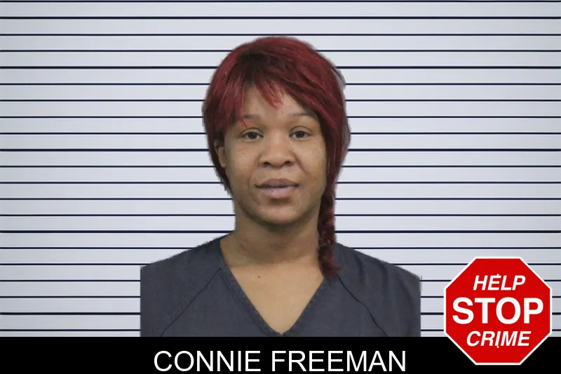 Connie Freeman mugshot – Catoosa County , Georgia Connie Freeman mugshot