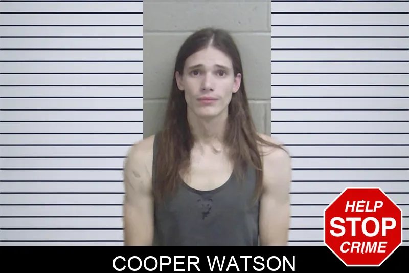 Cooper Watson mugshot – Wayne County , Georgia Cooper Watson mugshot