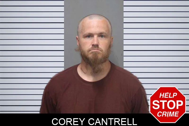 Corey Cantrell mugshot – White County , Georgia Corey Cantrell mugshot