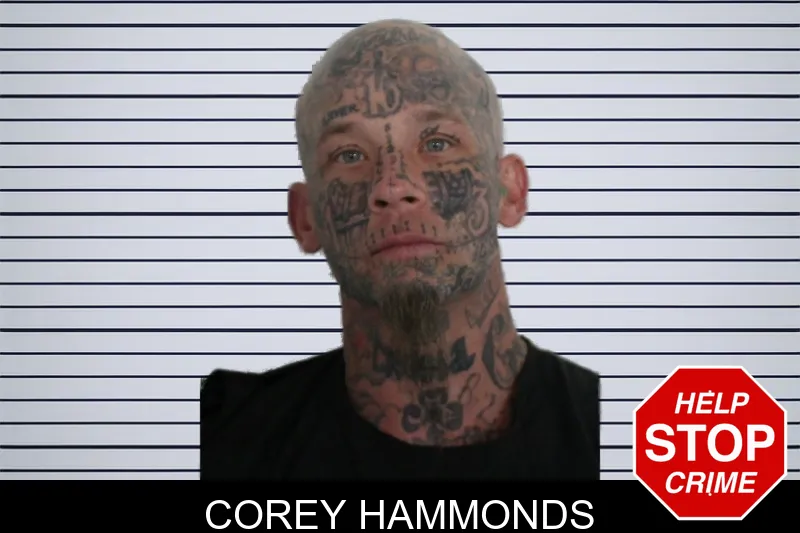 Corey Hammonds mugshot – Floyd County , Georgia Corey Hammonds mugshot
