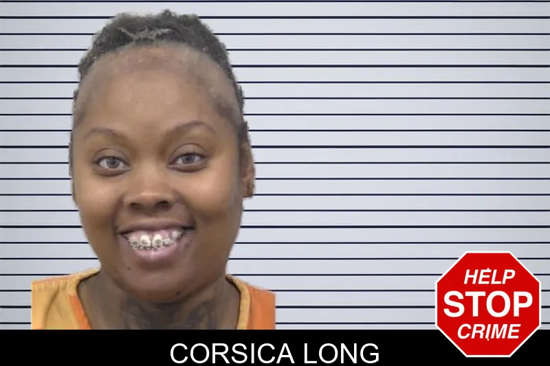 Corsica Long mugshot – Paulding County , Georgia Corsica Long mugshot