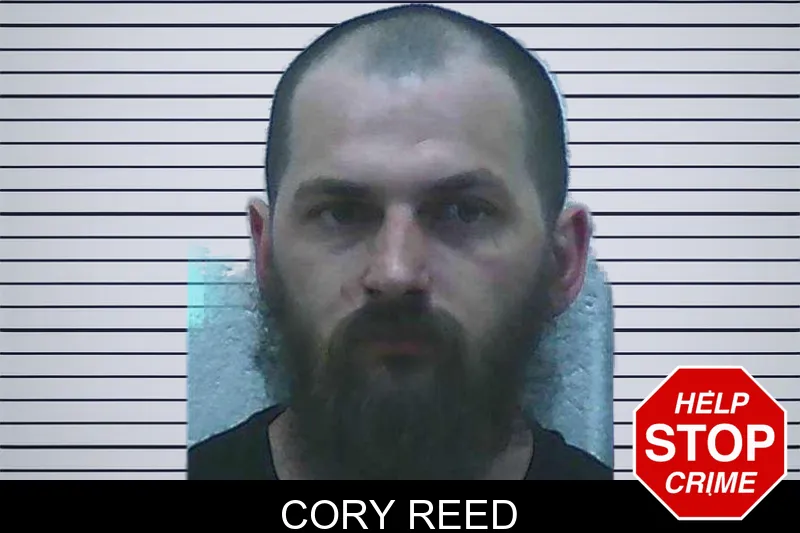 Cory Reed mugshot – Jackson County , Georgia Cory Reed mugshot