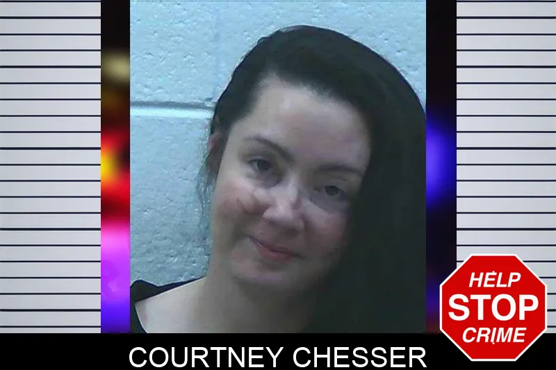 Courtney Chesser mugshot – Jackson County , Georgia Courtney Chesser mugshot