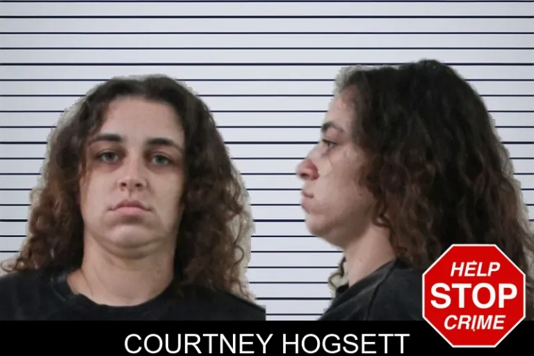Courtney Hogsett mugshot – Houston County , Georgia Courtney Hogsett