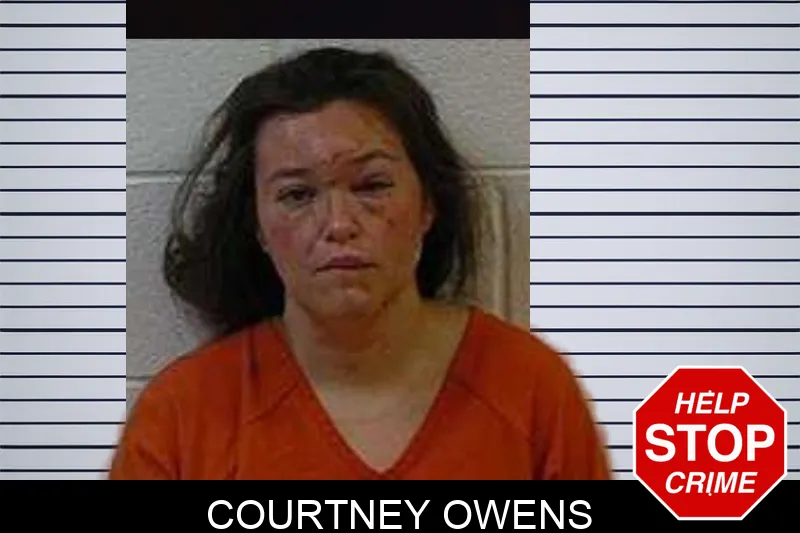 Courtney Owens mugshot – Polk County , Georgia Courtney Owens mugshot