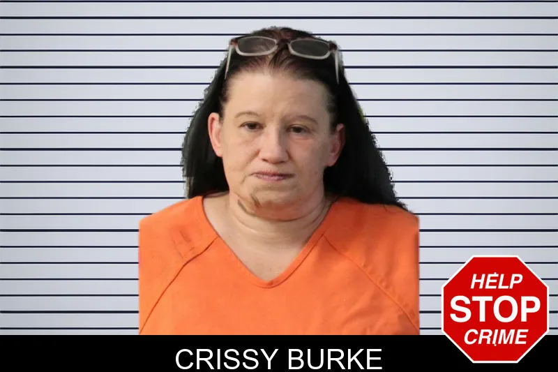 Crissy Burke mugshot – Lumpkin County , Georgia Crissy Burke mugshot