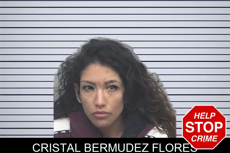 Cristal Bermudez Flores mugshot