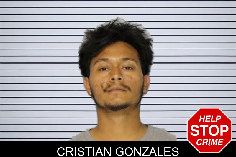 Cristian Gonzales mugshot – Hall County , Georgia Cristian Gonzales mugshot