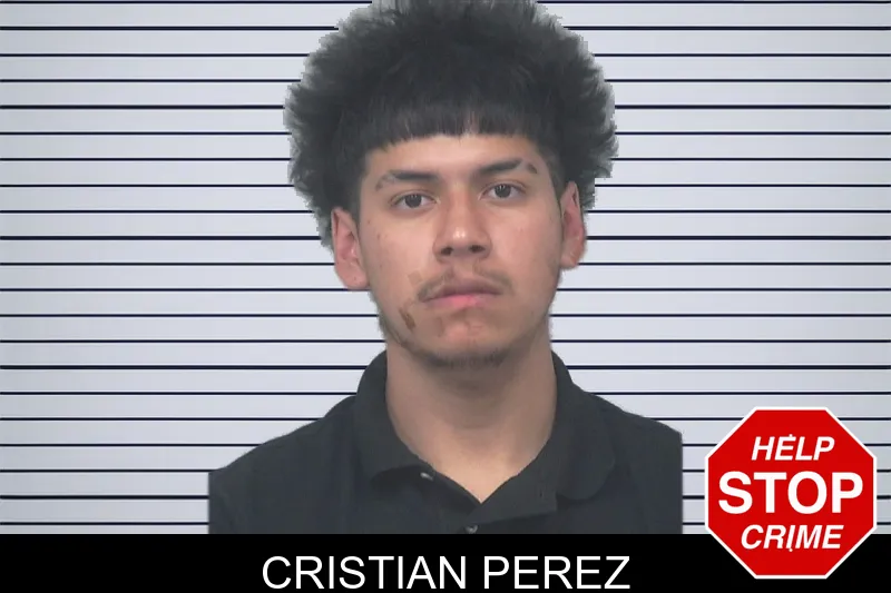 Cristian Perez mugshot