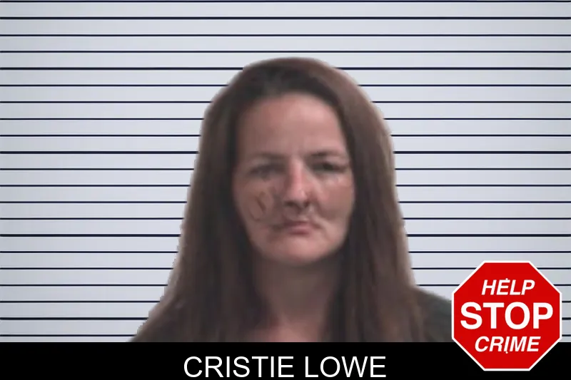 Cristie Lowe mugshot