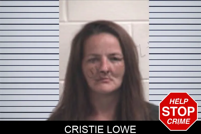 Cristie Lowe mugshot