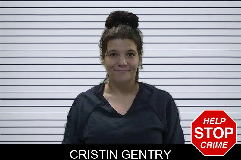 Cristin Gentry mugshot – Gilmer County , Georgia Cristin Gentry mugshot